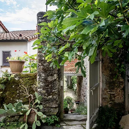 Villa La Chiesina Di Campiglia